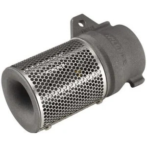WATERAX B-5258 Foot Valve and Strainer, 2″