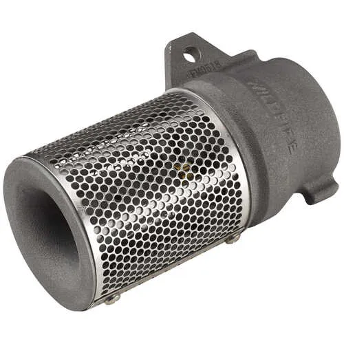 WATERAX B-5258 Foot Valve and Strainer, 2″