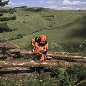Husqvarna 565 20″ 50GA Professional Gas Chainsaw - view 2