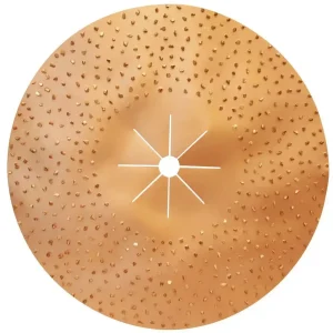 Pearl Abrasive 8 Grit Double-Sided 16″ Tungsten Carbide Sanding Disc