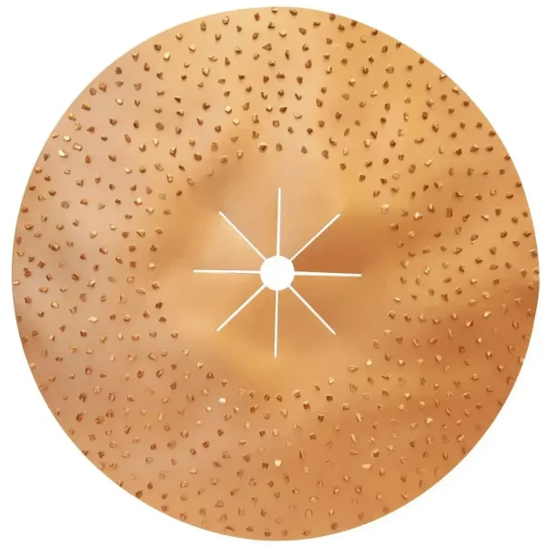 Pearl Abrasive 8 Grit Double-Sided 16″ Tungsten Carbide Sanding Disc