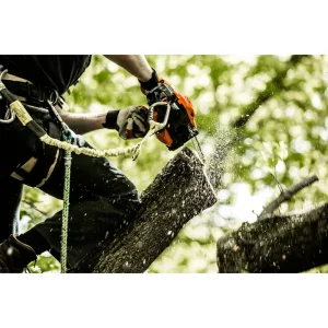 ECHO CS-271T-12 Chainsaw - view 4