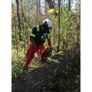 ECHO CS-4510 16″ Rear-Handle Chainsaw - view 4
