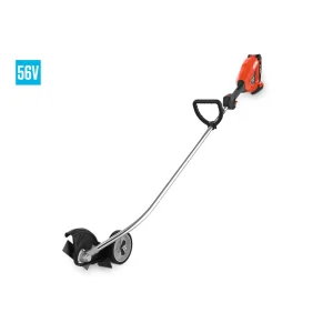 Echo DPE-2100X1 Edger Kit
